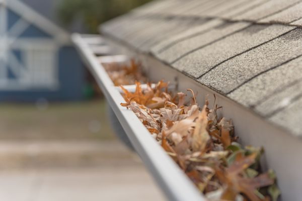 Leaf Barrier Installation in Pittsboro